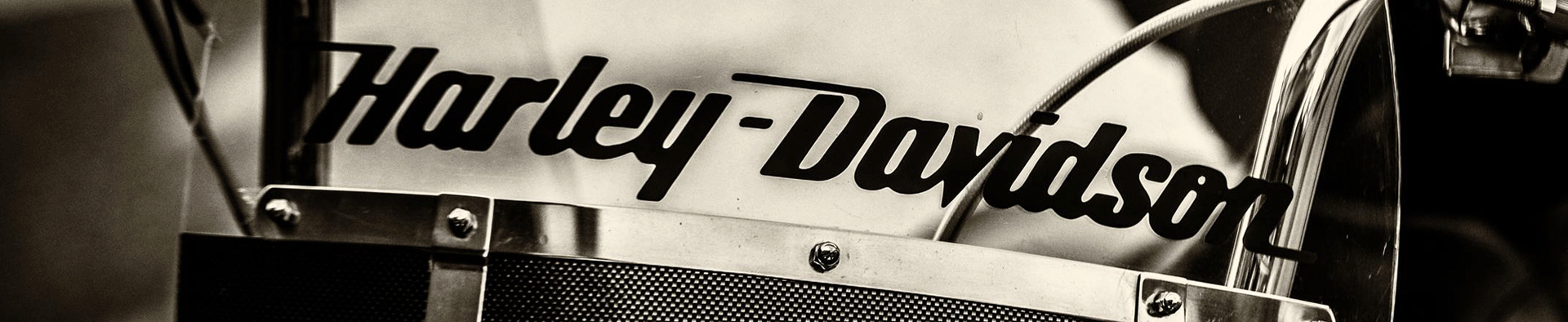 DANS LA PEAU D’UN RIDER